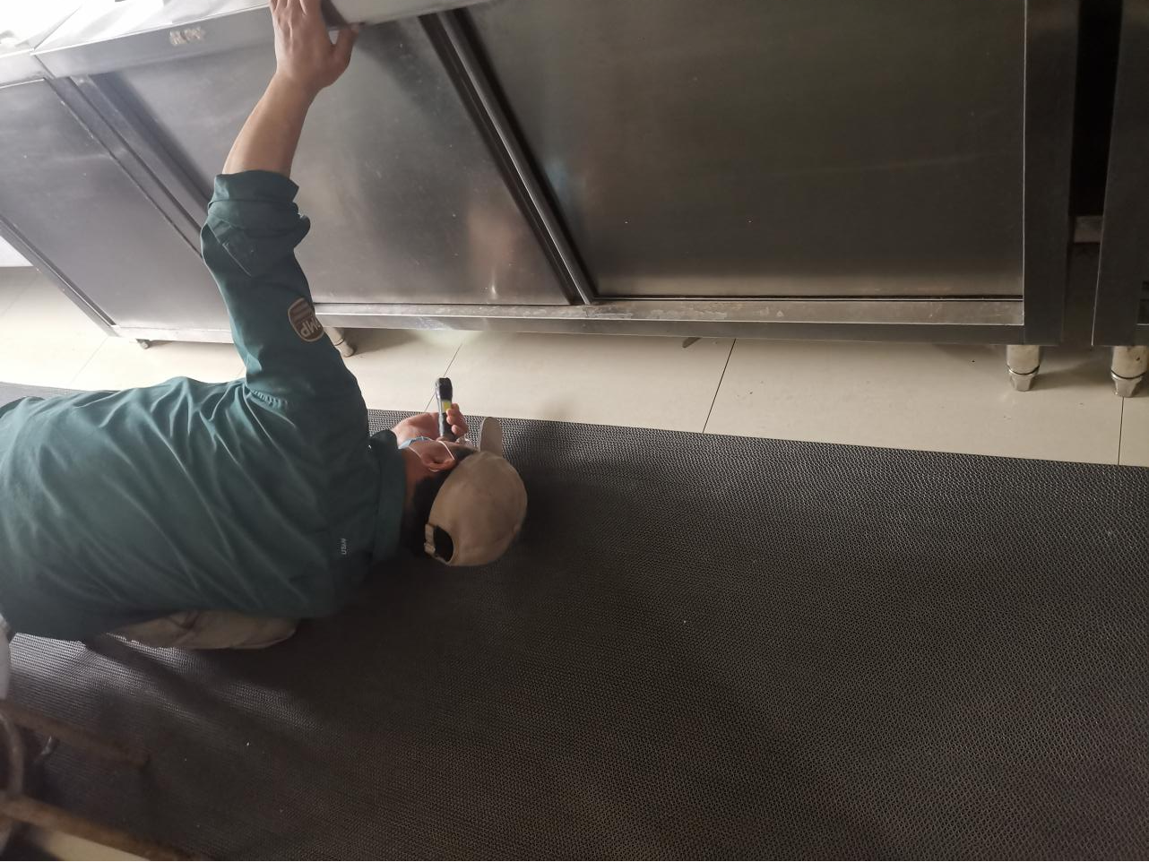 灭除“四害”，，，守护康健