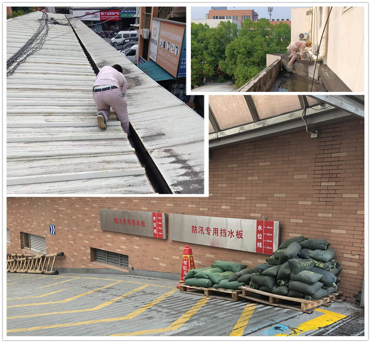 应对台风“梅花” 9227新葡的京集团市场在行动