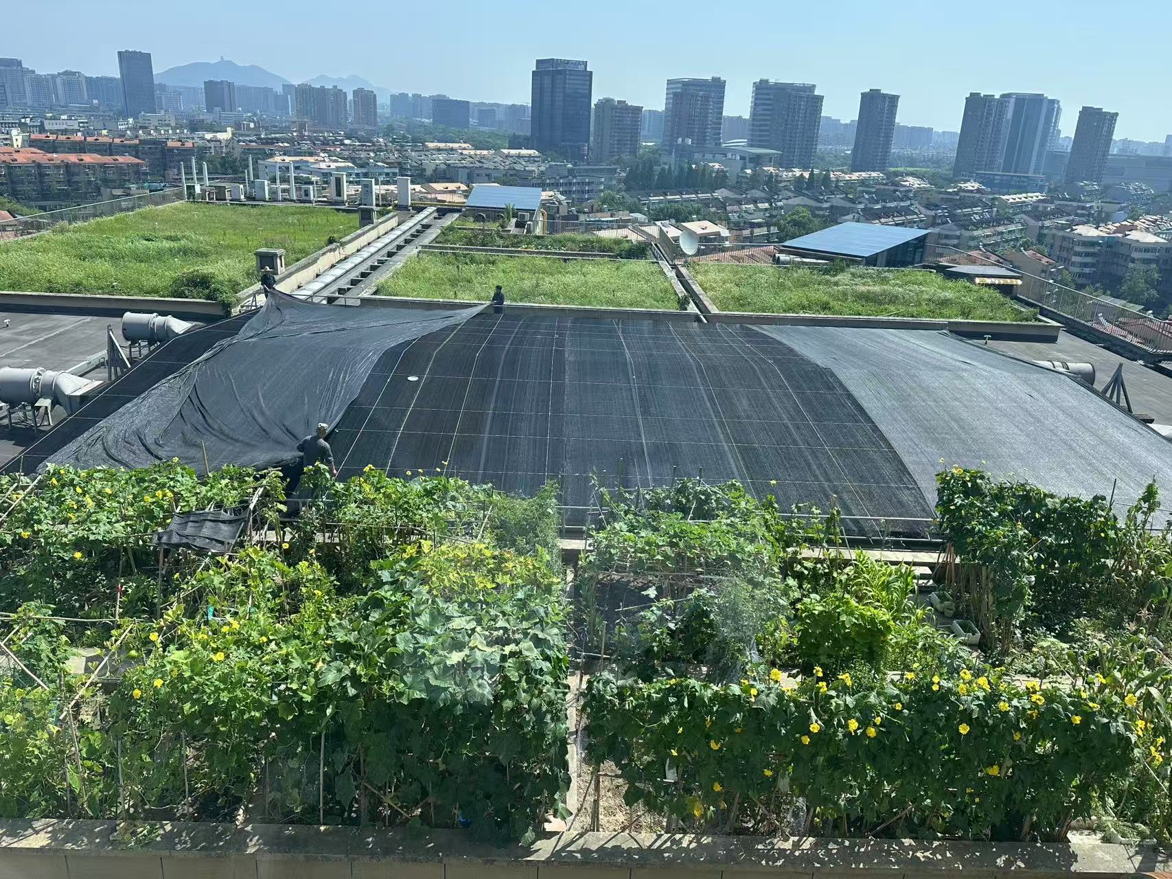 水晶城巧施”遮阳术“，，，，为节能降耗注入清凉动力