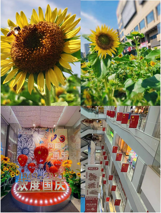 盛世华诞，，，，，水晶城喜迎国庆