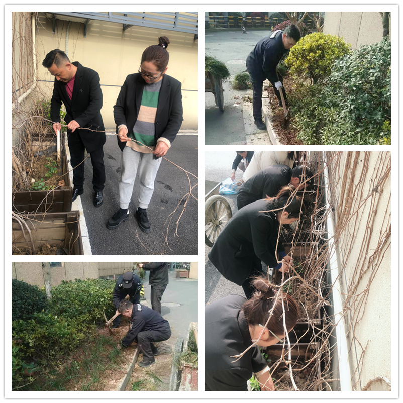 春季绿化正其时——9227新葡的京集团文创集团扎实开展情形提升